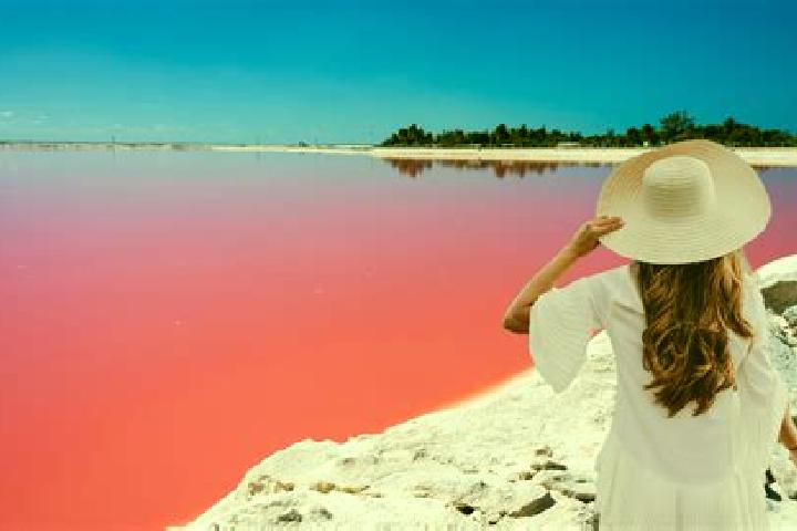 Stella, 38 — Escort in Las Coloradas, Mexico