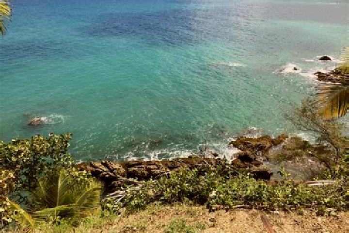 Stella, 38 — Escort in Maunabo, Puerto Rico
