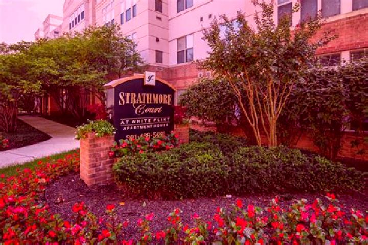 Stella, 38 — Escort in North Bethesda, United States