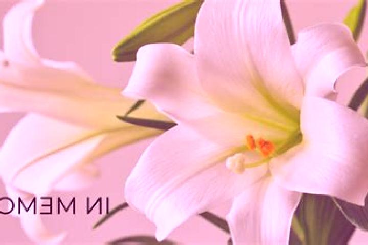 Stella, 38 — Escort in Numaran, Mexico