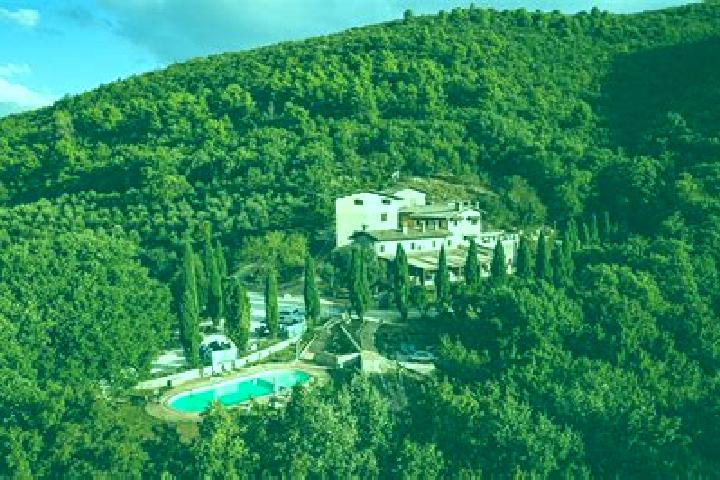 Stella, 38 — Escort in San Martino alla Palma, Italy