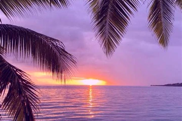 Stella, 38 — Escort in Sunset, Australia