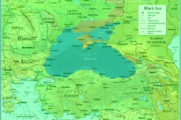 Stella, 38 — Escort in Tervel, Bulgaria