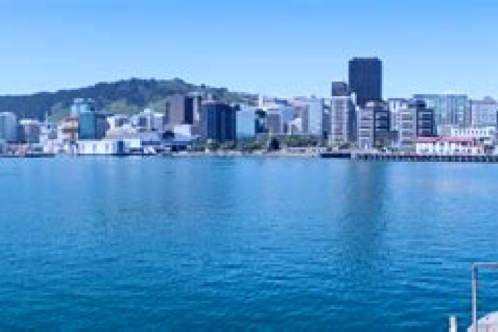 Stella, 38 — Escort in West Harbour, New Zealand