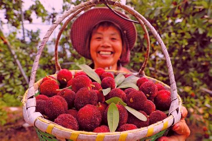 Stella, 38 — Escort in Yangmei, China