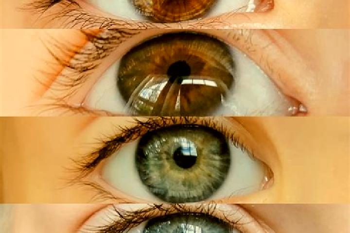 Stella, 39, a chestnut green-eyed mixed companion based in Osesti. Offering Overnight, Couples, Duos. Available for incall and outcall, overnight bookings av...