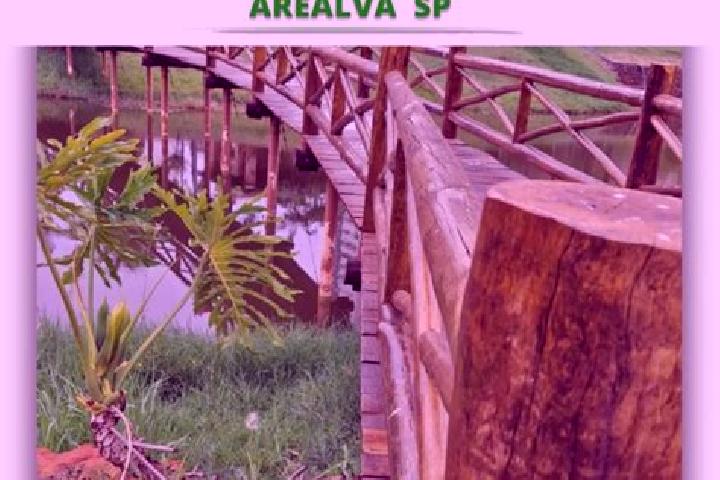 Stella, 39 — Escort in Arealva, Brazil