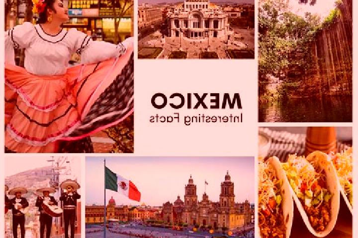 Stella, 39 — Escort in Atlantongo, Mexico