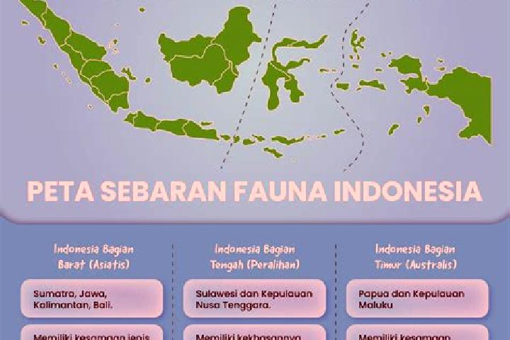 Stella, 39 — Escort in Bata Tengah, Indonesia