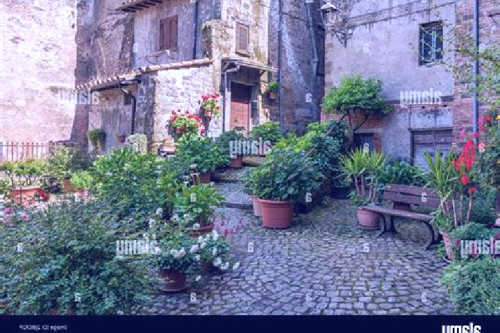 Stella, 39 — Escort in Capergnanica, Italy