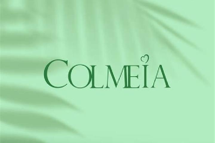 Stella, 39 — Escort in Colmeia, Brazil