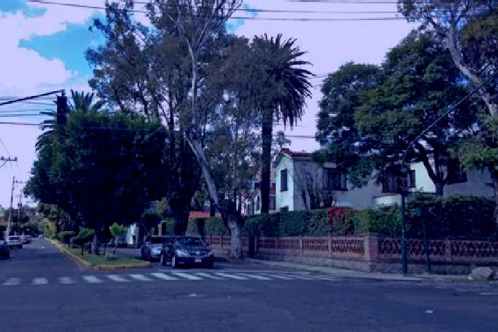 Stella, 39 — Escort in Colonia Anahuac (Palo Blanco), Mexico
