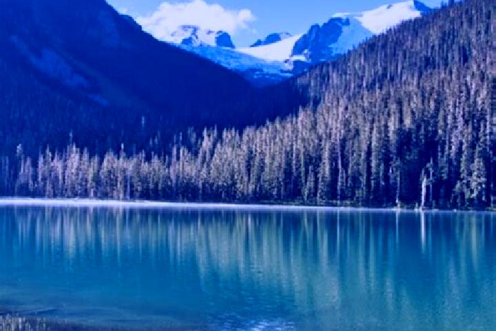 Stella, 39 — Escort in Pemberton, Canada