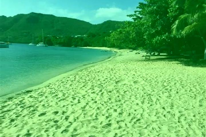 Stella, 39 — Escort in Petit Bordel, Saint Vincent and the Grenadines