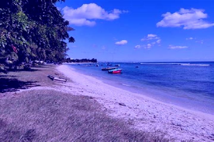 Stella, 39 — Escort in Pointe aux Piments, Mauritius
