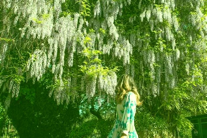 Stella, 39 — Escort in Schitu Scoicesti, Romania