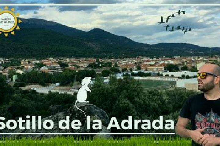 Stella, 39 — Escort in Sotillo de la Adrada, Spain