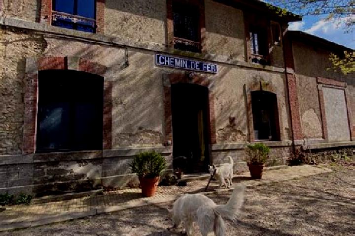 Victoria, 20 — Escort in Dompierre-du-Chemin, France