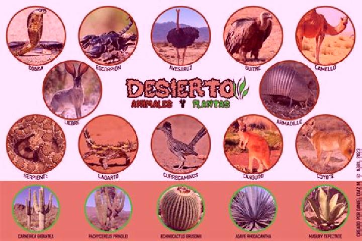 Victoria, 20 — Escort in El Carmen (El Desierto del Carmen), Mexico