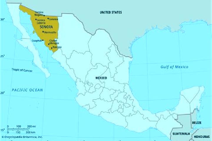 Victoria, 20 — Escort in Guadalupe Nogales, Mexico