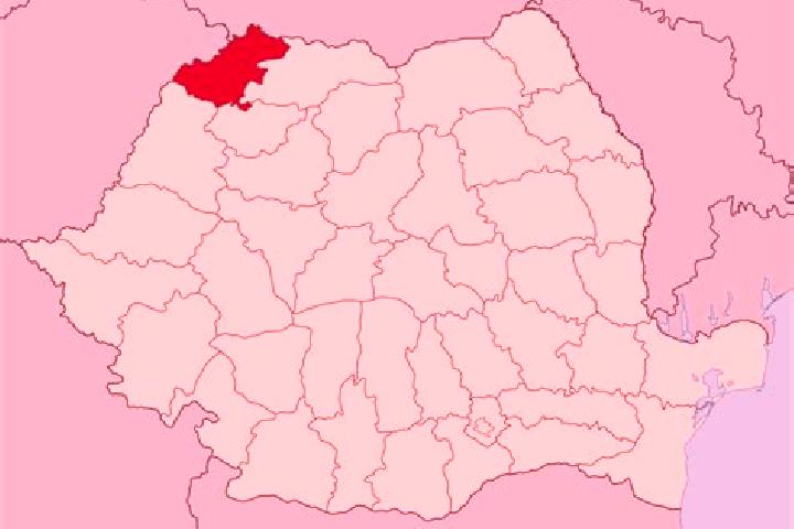 Victoria, 20 — Escort in Ivrinezu Mare, Romania