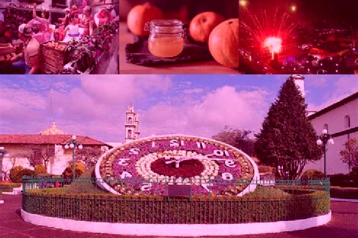 Victoria, 20 — Escort in La Manzana de Santa Cruz, Mexico