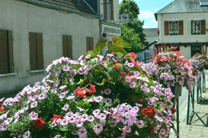 Victoria, 20 — Escort in Les Essarts-le-Roi, France