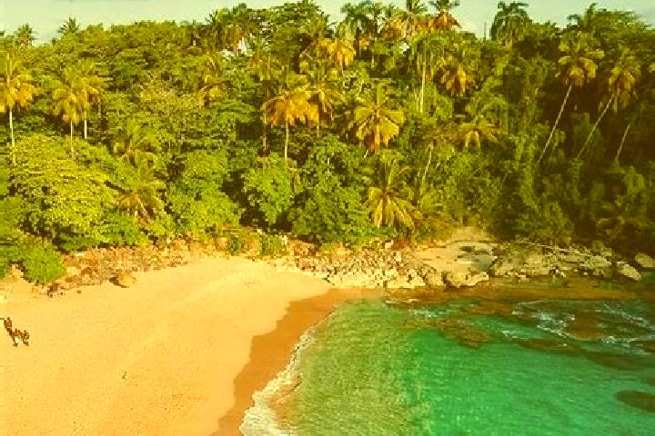 Victoria, 20 — Escort in Rio Grande, Dominican Republic