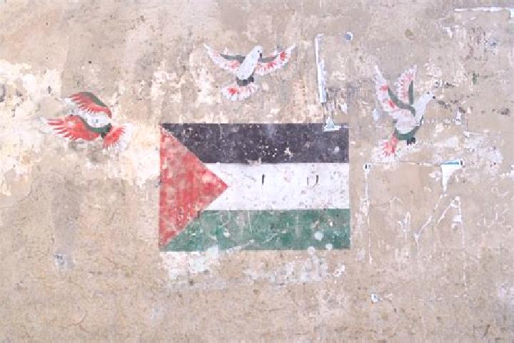Victoria, 21 — Escort in An Nazlah ash Sharqiyah, Palestine