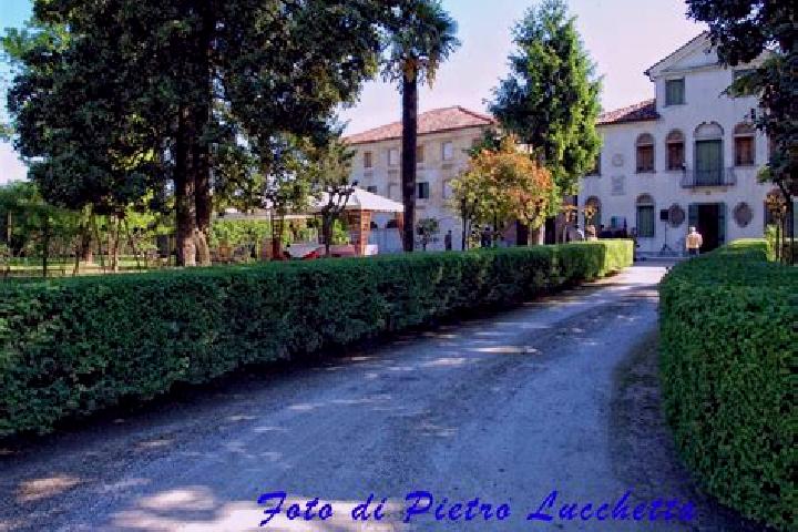 Victoria, 21 — Escort in Fossalta di Piave, Italy