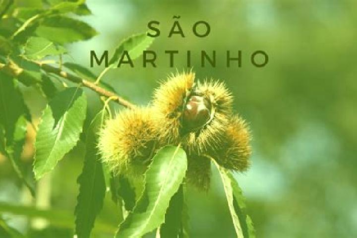 Victoria, 21 — Escort in Frei Martinho, Brazil