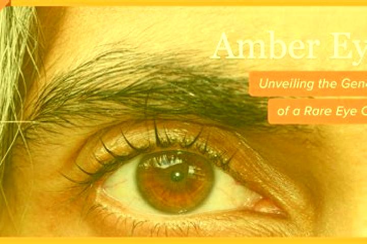 Victoria, 22, a red amber-eyed caucasian companion based in Beaumont Hills. Offering A-Level, Massage, Domination, Overnight, 69. Available for incall and ou...