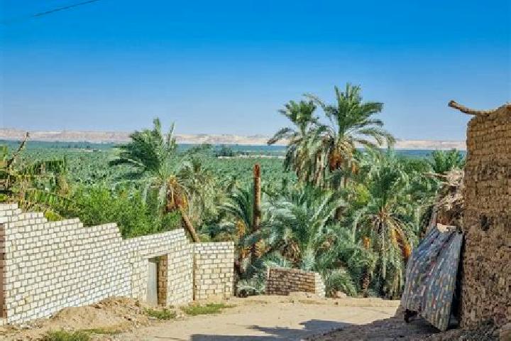 Victoria, 22 — Escort in Al Bawiti, Egypt