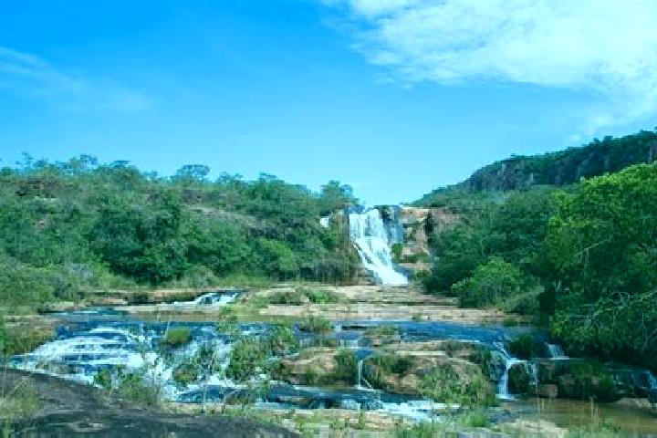 Victoria, 22 — Escort in Cachoeira de Goias, Brazil