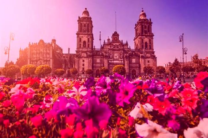 Victoria, 22 — Escort in Ciudad Morelos, Mexico