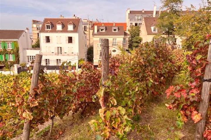 Victoria, 22 — Escort in Les Rues-des-Vignes, France