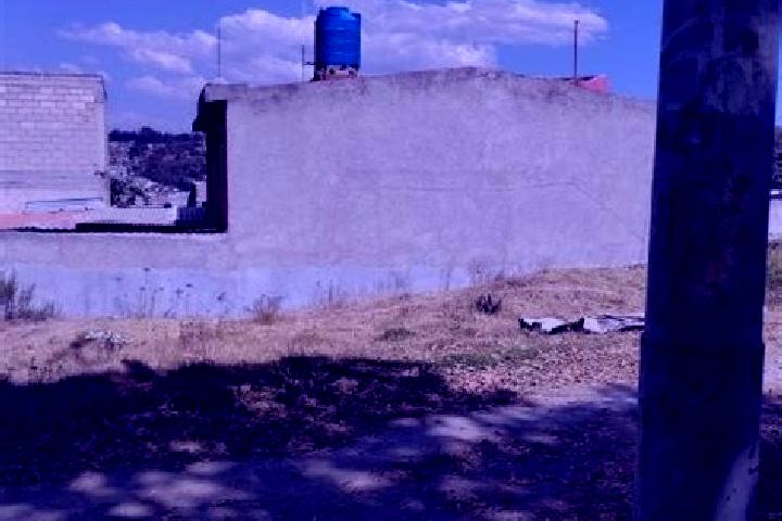Victoria, 22 — Escort in Loma Larga (Barrio de Loma Larga), Mexico