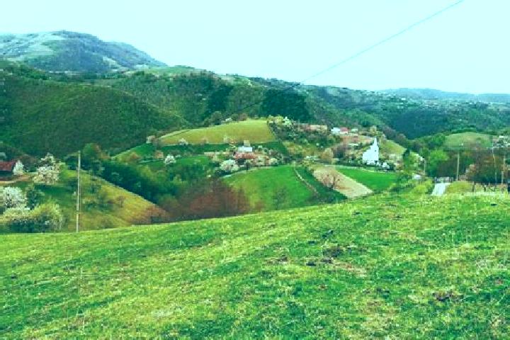 Victoria, 22 — Escort in Valea Stejarului, Romania