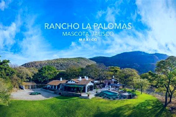 Victoria, 23 — Escort in Amomolulco, Mexico