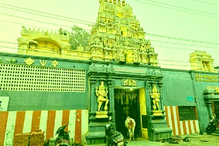 Victoria, 23 — Escort in Madipakkam, India