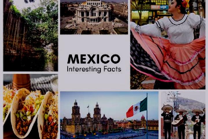 Victoria, 23 — Escort in Napizaro, Mexico