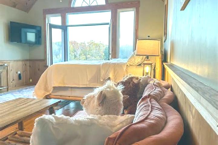 Victoria, 23 — Escort in Powhatan, United States
