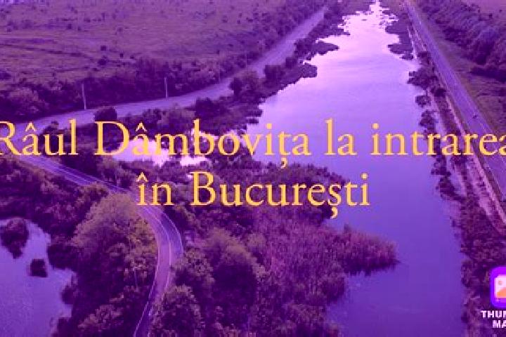 Victoria, 23 — Escort in Rau Alb de Jos, Romania