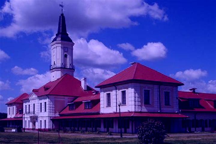 Victoria, 23 — Escort in Shklov, Belarus