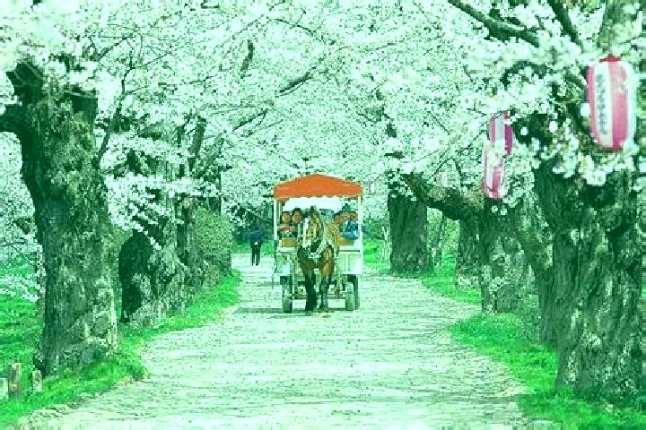 Victoria, 23 — Escort in Takefu, Japan