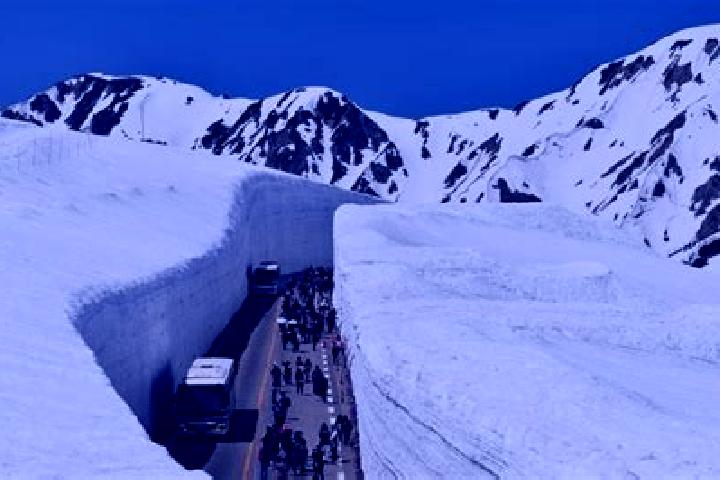 Victoria, 23 — Escort in Tateyama, Japan