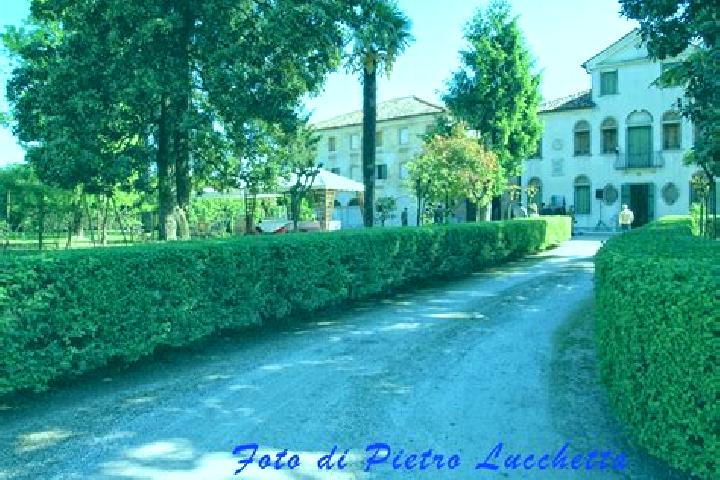 Victoria, 23 — Escort in Zenson di Piave, Italy