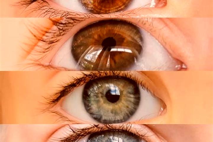 Victoria, 24, a chestnut grey-eyed mixed companion based in Orlov. Offering Travel Companion, Domination, Girlfriend Experience. Available for incall and out...