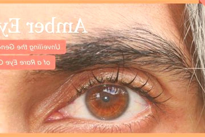 Victoria, 24, a red amber-eyed middle eastern companion based in North End. Offering Prostate Massage, A-Level, Dinner Date. Available for incall and outcall...