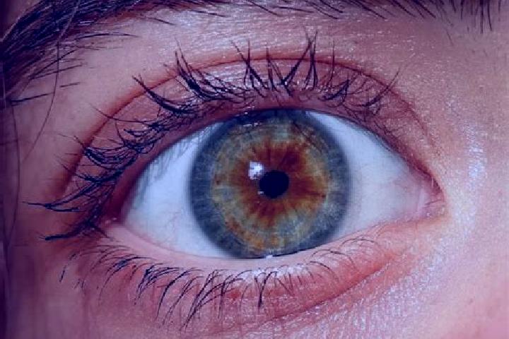 Victoria, 24, a red hazel-eyed mediterranean companion based in Haoli. Offering Duos, Travel Companion, OWO, Fetish. Available for incall and outcall, overni...